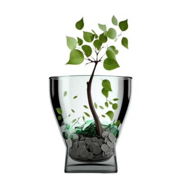 رحلات المستثمرين الصغار